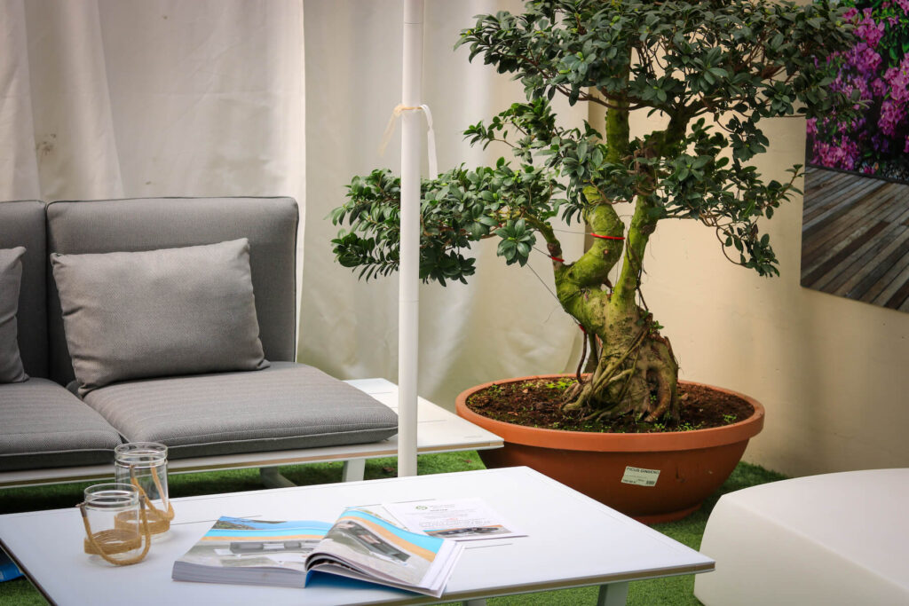 Pinto florivivaistica wecus 57